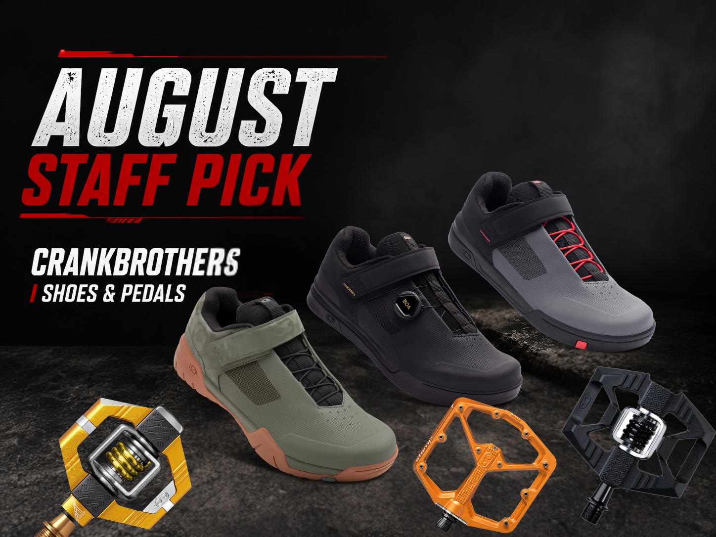 Staff Pick of the Month – August