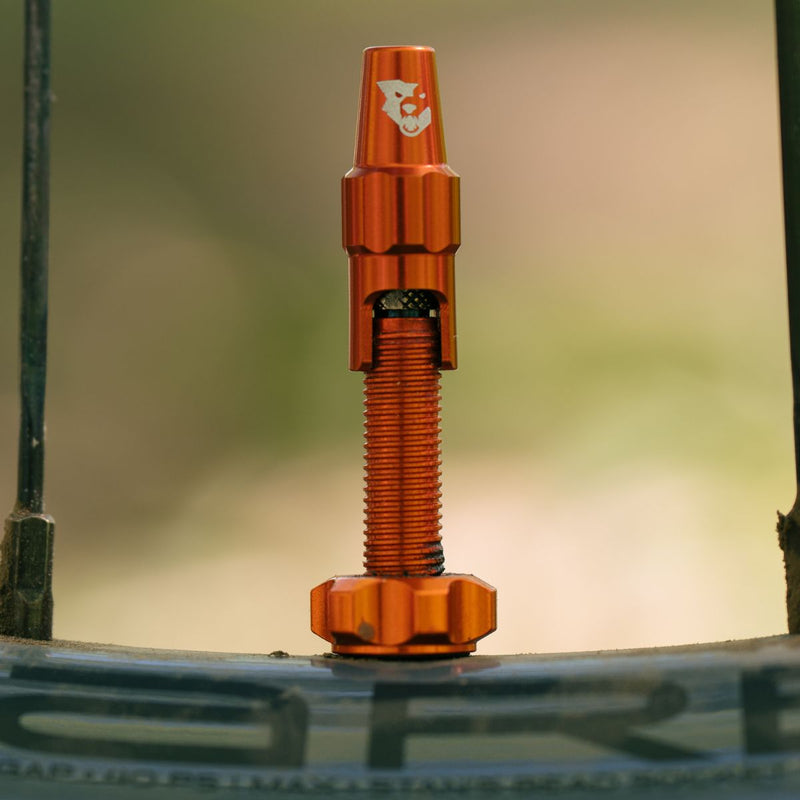 WOLF TOOTH - TUBELESS VALVE STEM KIT FOR CLIK VALVE - 60MM