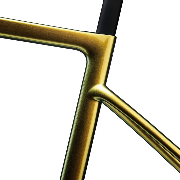 Enve Fray Allroad Frameset - Venom