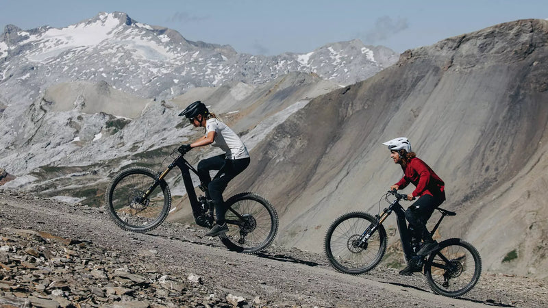 Specialized - Turbo Levo 4 Pro