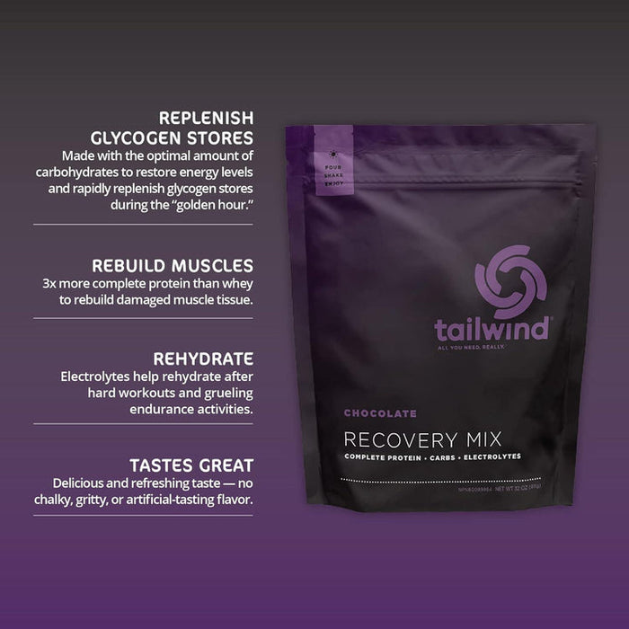 Tailwind Rebuild Recovery 15 Serve 911g (Chocolate)