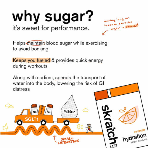 Skratch Labs Hydration Sport Drink Mix Orange