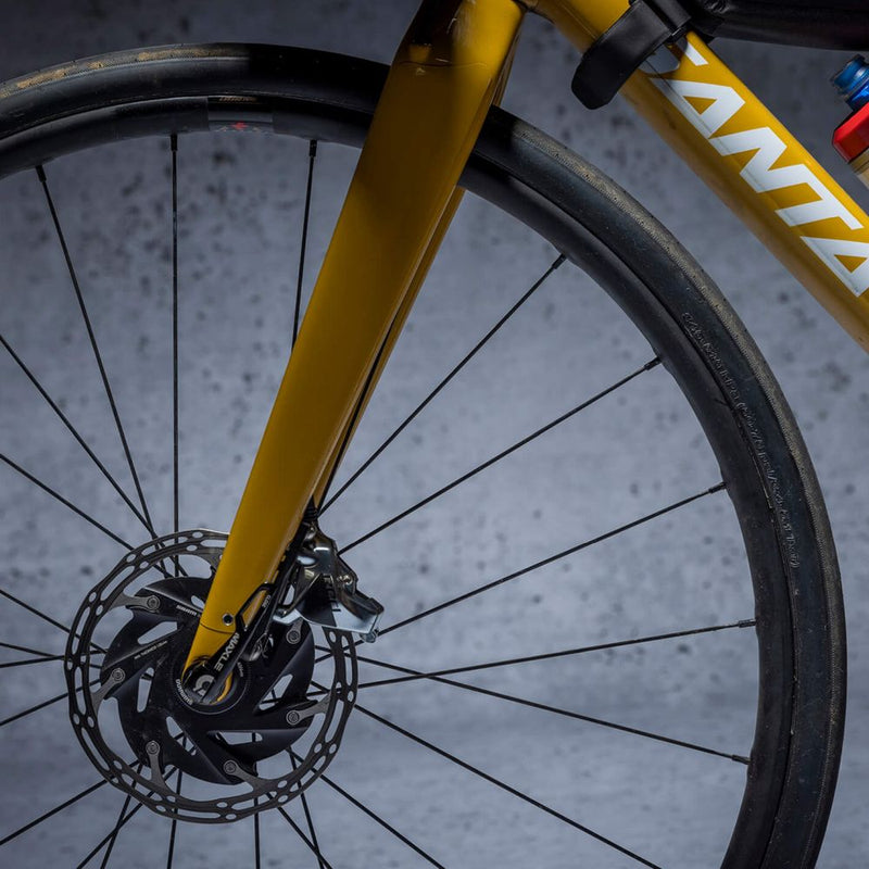 DYEDBRO - CLEAR GLOSS - DROP BAR