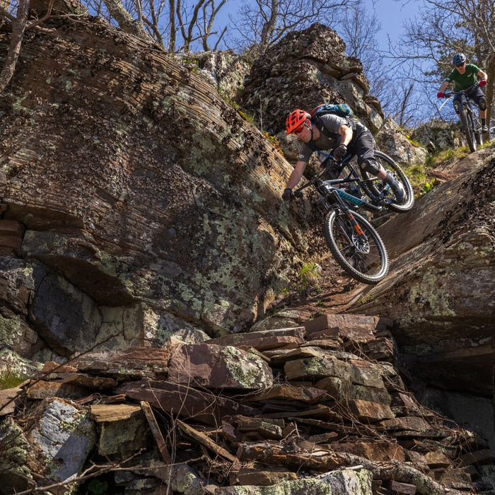 STAN'S NOTUBES - FLOW S2 29" WHEELSET