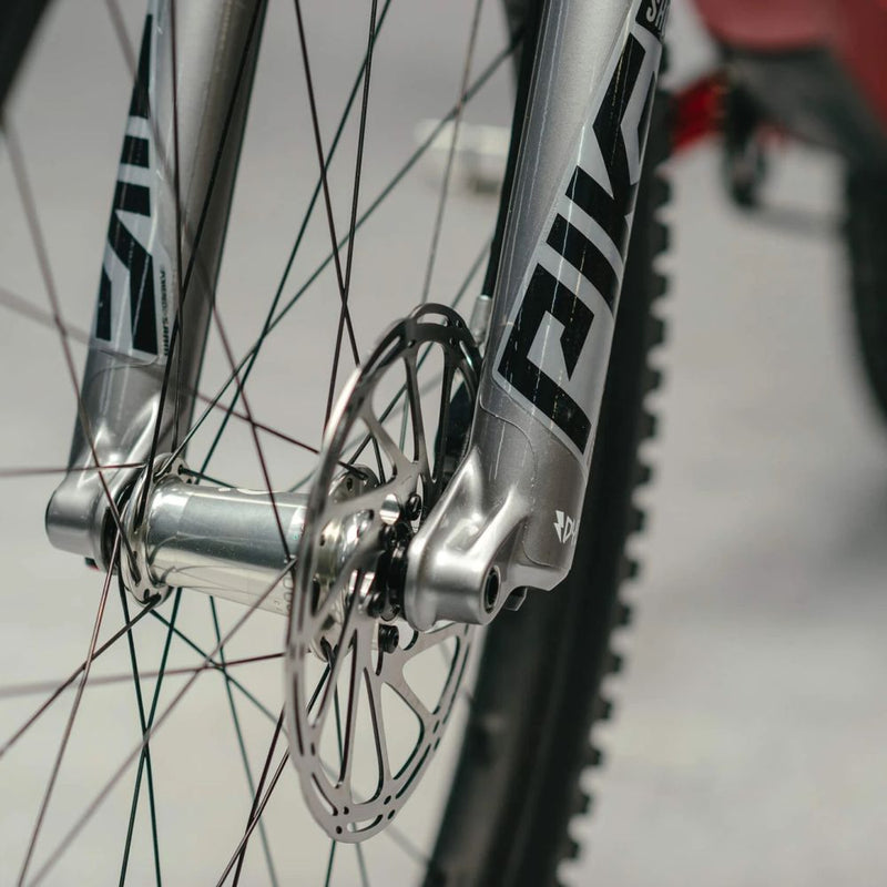 Dyedbro - Fork Protection