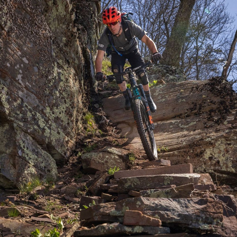 STAN'S NOTUBES - FLOW S2 29" WHEELS