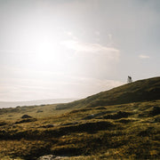 Goodyear - Peak Tyre - Gravel - Ultimate