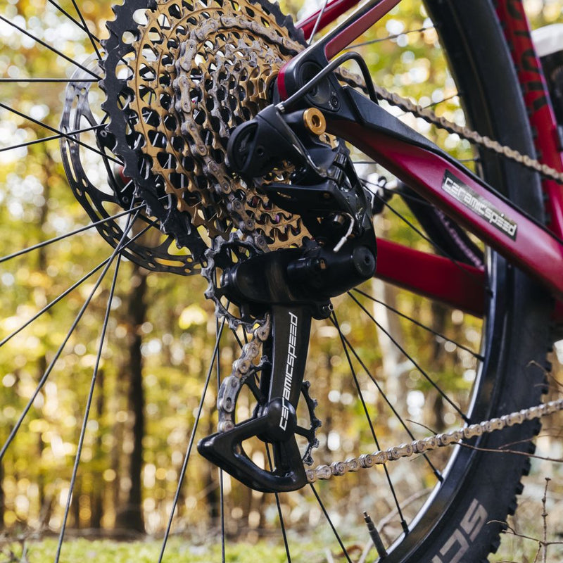 CeramicSpeed - OSPW Derailleur Cages - SRAM Eagle AXS