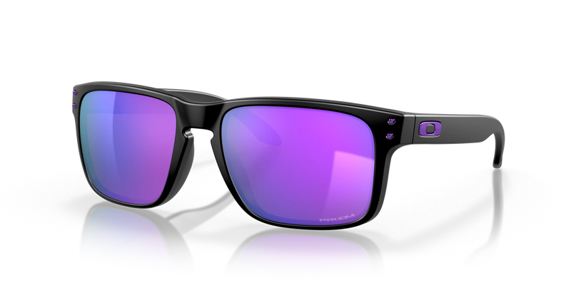 Oakley - Holbrook